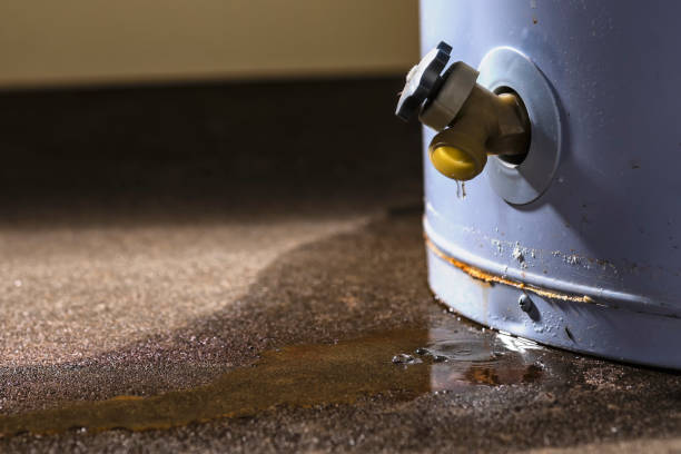 Best Flood restoration services  in Saks, AL