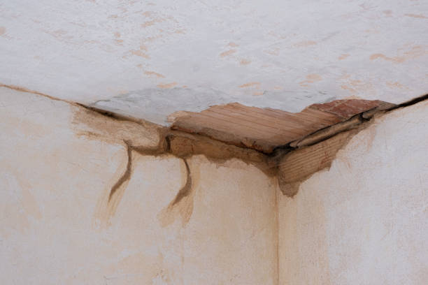 Best Flood damage cleanup  in Saks, AL