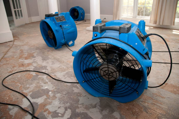 Best 24-hour water damage restoration  in Saks, AL