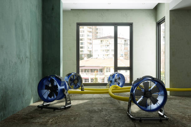 Sewage cleanup and water damage restoration in Saks, AL